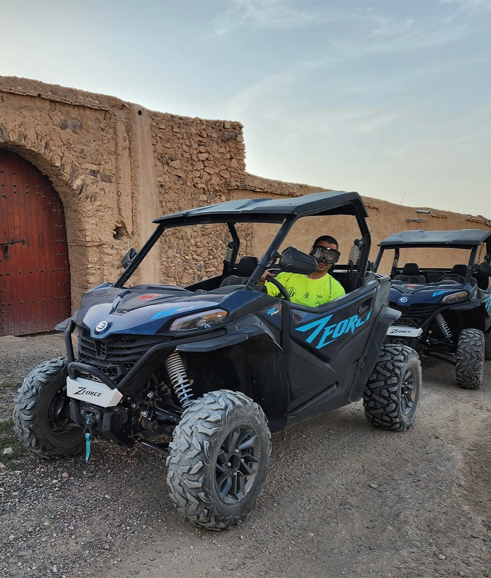 Buggy Rides