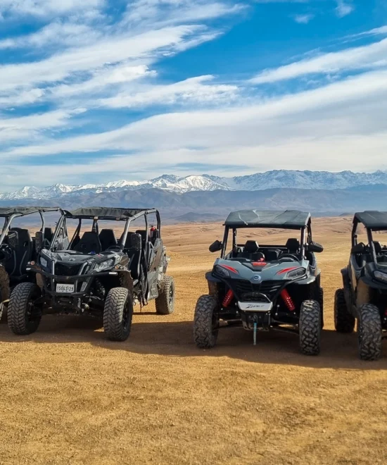 2-Hour 4-Seat Buggy Adventure Agafay Desert from Marrakech