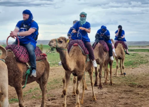 Camel Ride Agafay Desert Experience from Marrakech